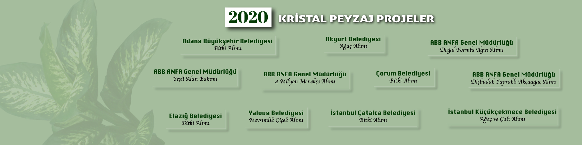 Kristal Peyzaj8