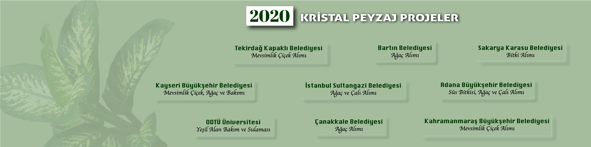 Kristal Peyzaj9