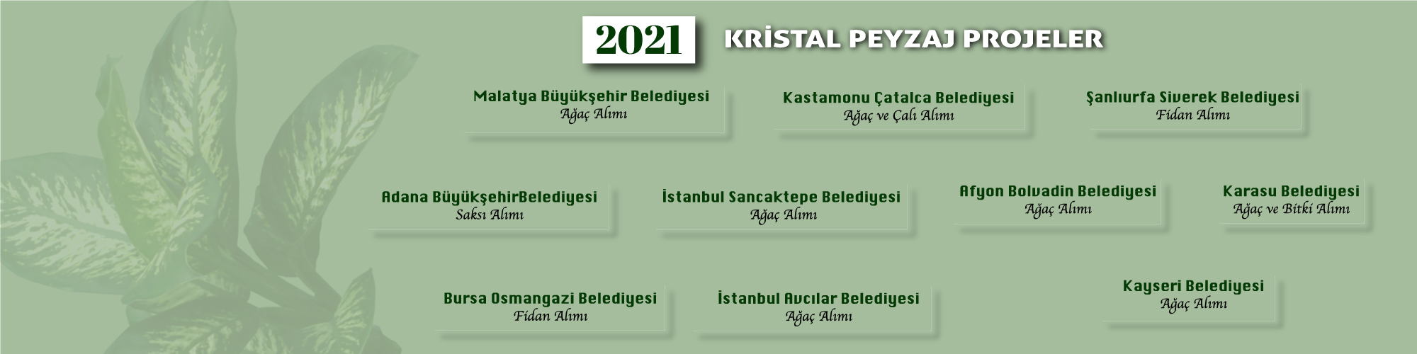 Kristal Pezaj11