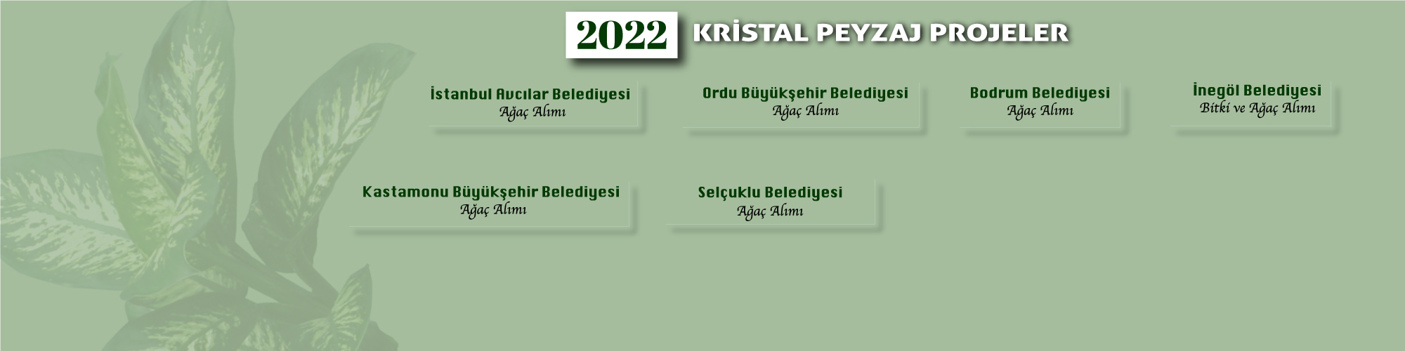 Kristal Pezaj13